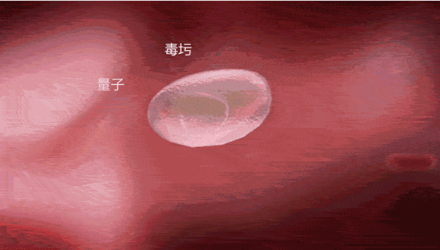 量子產品不是藥，需理性對待